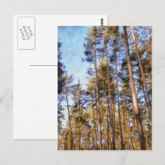 ピニー林 ポストカード (正面/裏面)