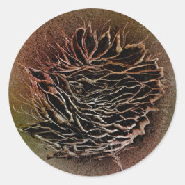 ピネコンは茶色で選択 ラウンドシール