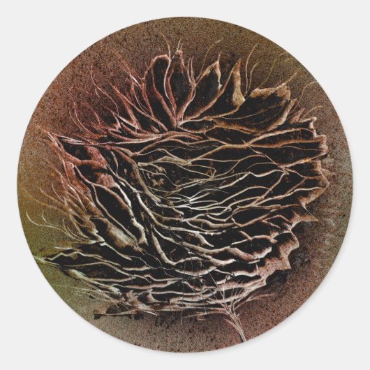 ピネコンは茶色で選択 ラウンドシール (正面)