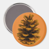 ピネコン素朴な自然ブラウンオレンジ秋 マグネット (正面/裏面)