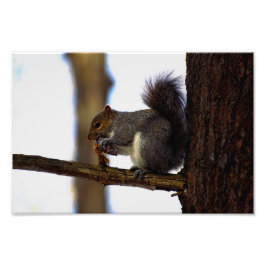 ピネコン鉱山 フォトプリント