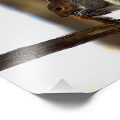 ピネコン鉱山 フォトプリント            (角)