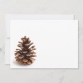 ピネコン (正面)