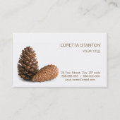 ピネコン2個 名刺 (正面)