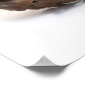 ピネコン3個 ポスター (角)