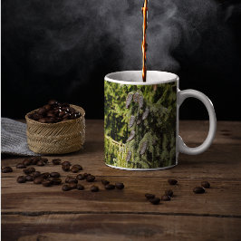 ピネコン コーヒーマグカップ