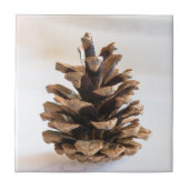 ピネコン タイル (正面)