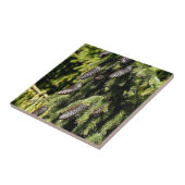 ピネコン タイル (側面)