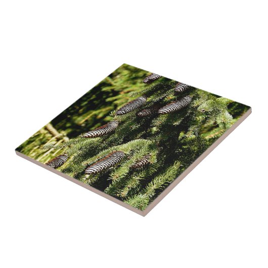 ピネコン タイル (側面)