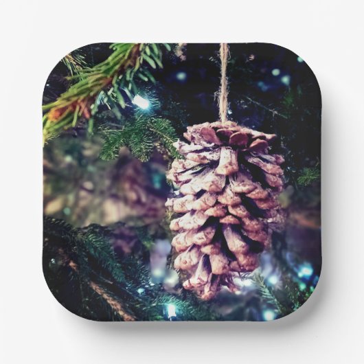 ピネコン ペーパープレート (正面)