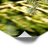 ピネコン ポスター (コーナー)