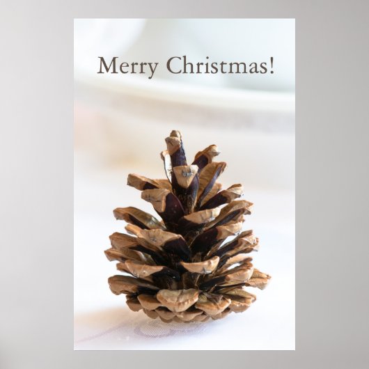 ピネコン ポスター (正面)