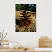 ピネコン ポスター (キッチン)