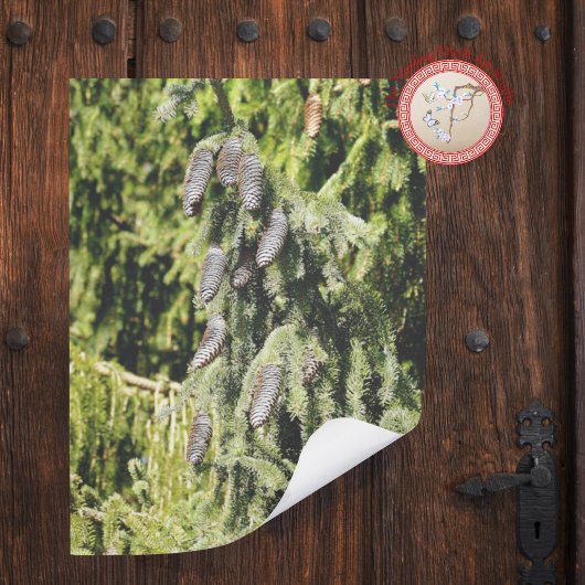 ピネコン ポスター