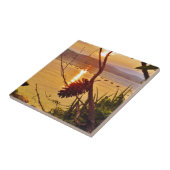 ピネコーンレイクサンセット タイル (側面)