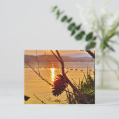 ピネコーンレイクサンセット ポストカード (スタンド正面)
