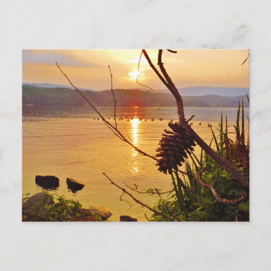 ピネコーンレイクサンセット ポストカード (正面)
