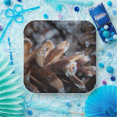 ピネコーン秋秋自然サービング ペーパープレート (パーティー)