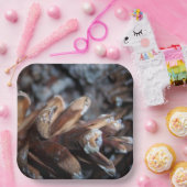 ピネコーン秋秋自然サービング ペーパープレート (パーティー)