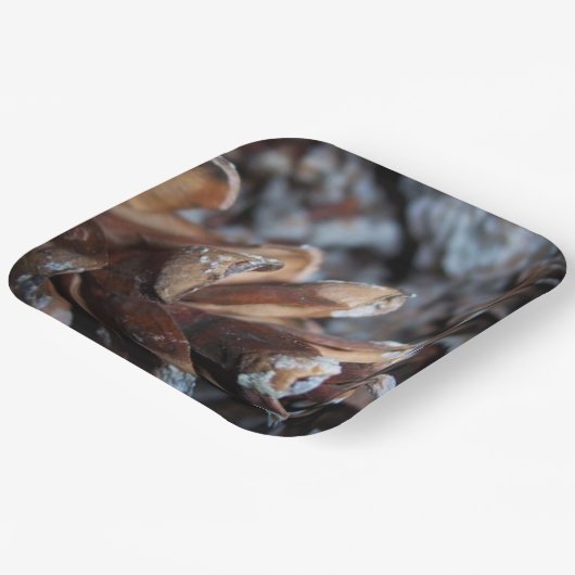 ピネコーン秋秋自然サービング ペーパープレート (傾斜あり)