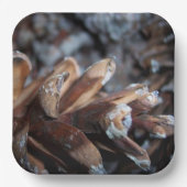 ピネコーン秋秋自然サービング ペーパープレート (正面)