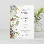 ピネコ素朴ング縁どリーオン 招待状 (スタンド正面)