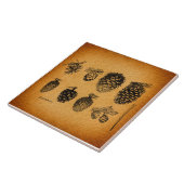 ピネコ素朴ンズパインコーンアートワークアンティークデザイン タイル (側面)