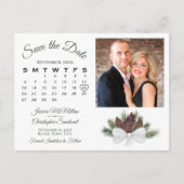 ピネコ素朴ン写真とカレンダー日付を保存 案内ポストカード (正面)