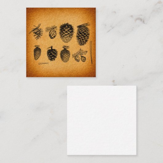 ピネコ素朴ーンパインコーンアートワークアンティークデザイン エンクロージャーカード (正面/裏面)