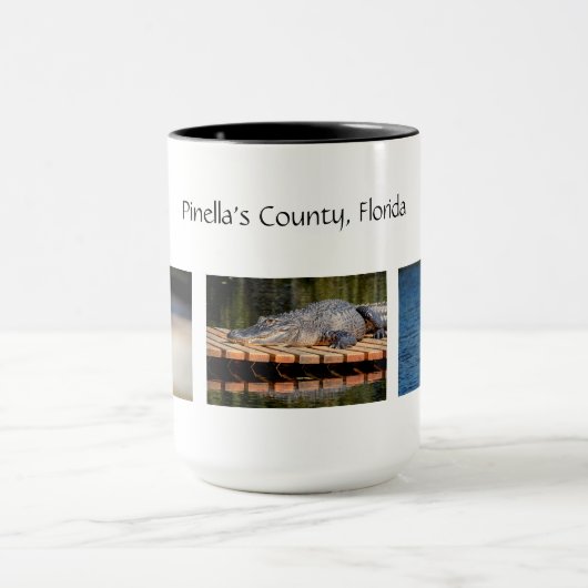 ピネラズカウンティフロリダ野生生物 マグカップ (中央)