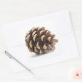 ピネ独身のコン スクエアシール (封筒)