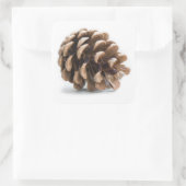 ピネ独身のコン スクエアシール (バッグ)