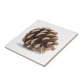 ピネ独身のコン タイル (側面)