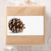 ピネ独身のコン ラベル (インサイチュ)