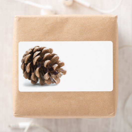 ピネ独身のコン ラベル (インサイチュ)