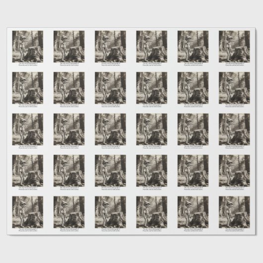 ピノキオと彼の母の唯一の知られた写真 ラッピングペーパー (フラット)