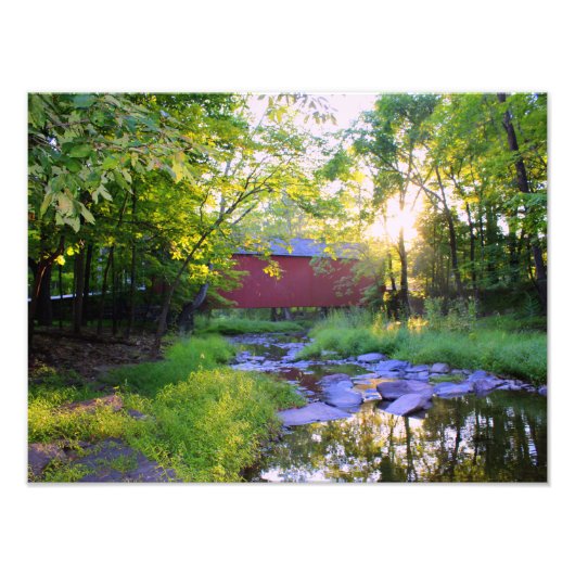 ピパーズビルおはよう フォトプリント            (正面)