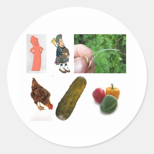 ピパー… ラウンドシール (正面)