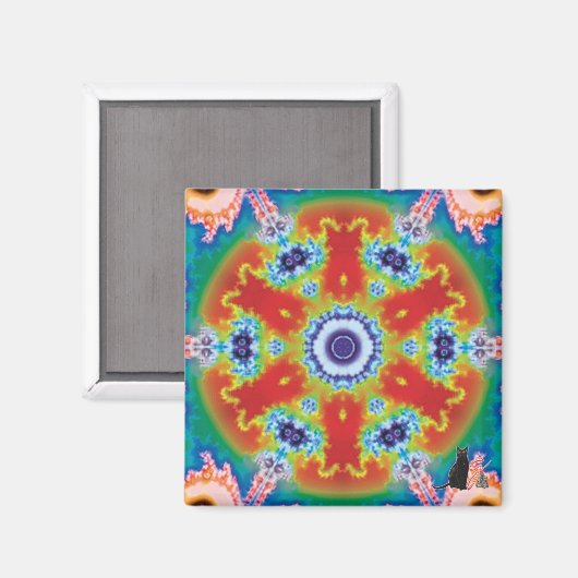 ピビトール万華鏡のように千変万化するパターン磁石 マグネット (正面/裏面)