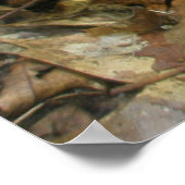 ピピシセワ(ウィンテグリーン)ポスター ポスター (角)