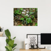 ピピシセワ(ウィンテグリーン)ポスター ポスター (ホームオフィス)