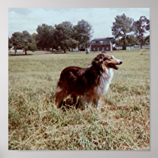 ピピン ポスター (正面)