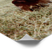 ピピン ポスター (角)