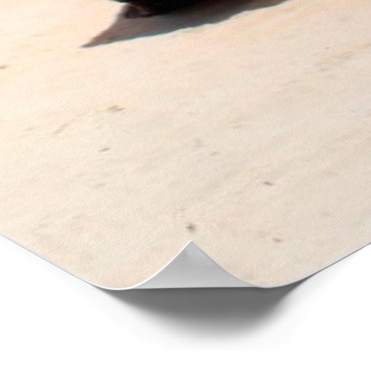 ピピ島 ポスター (角)