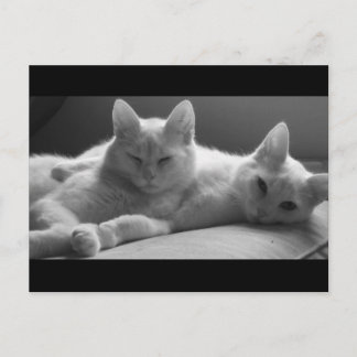 ピフとパフ ポストカード