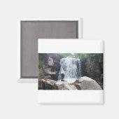 ピペストン。 マグネット (正面/裏面)