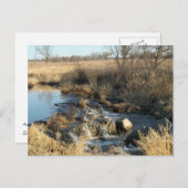 ピペストン、MNポストカード ポストカード (正面/裏面)