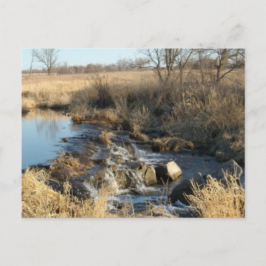 ピペストン、MNポストカード ポストカード (正面)