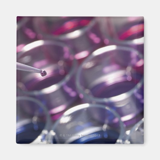 ピペットと流体を使ったペトリ皿 マグネット (正面)