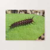 ピペバインアゲハチョウキャタピラーオンアリーフ ジグソーパズル (横)